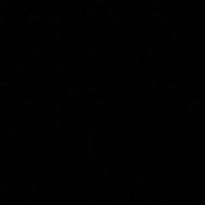 Meet your Posher, Miguel